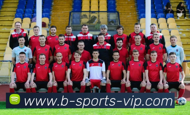 B体育平台生态图